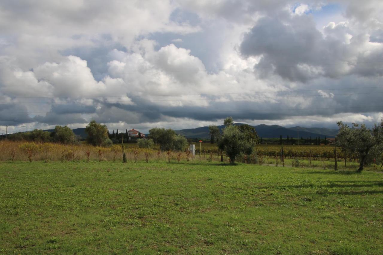 Podere Campo Alle Serpi Bibbona Buitenkant foto