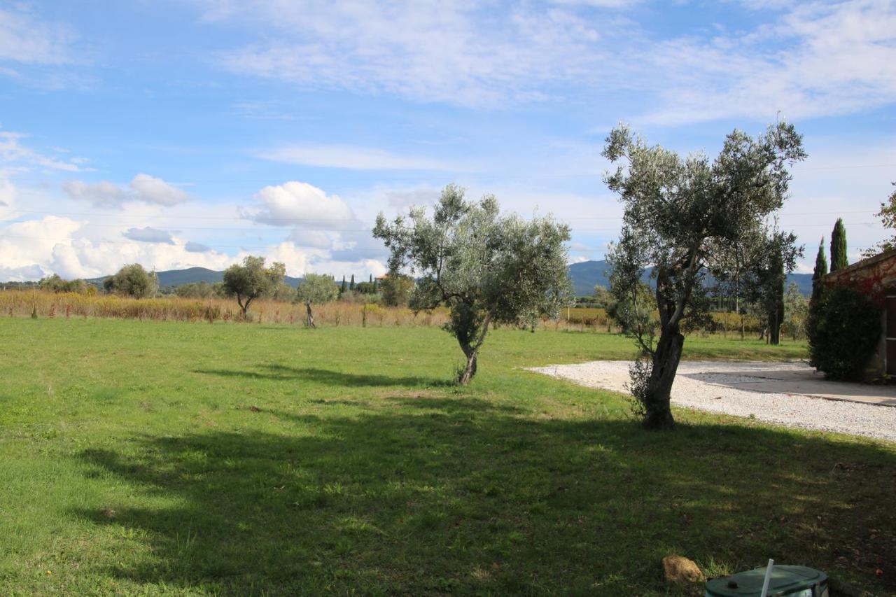 Podere Campo Alle Serpi Bibbona Buitenkant foto