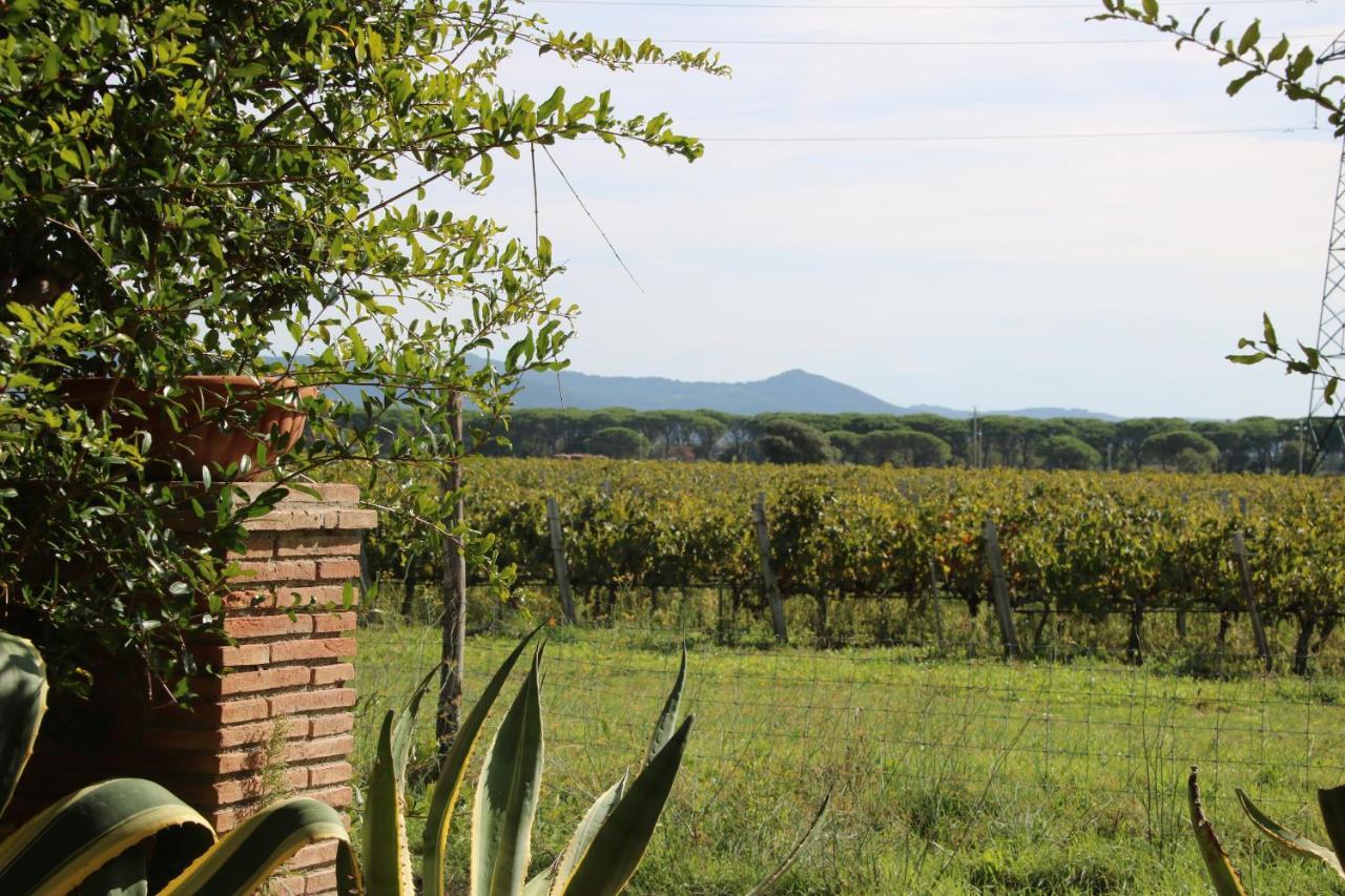 Podere Campo Alle Serpi Bibbona Buitenkant foto