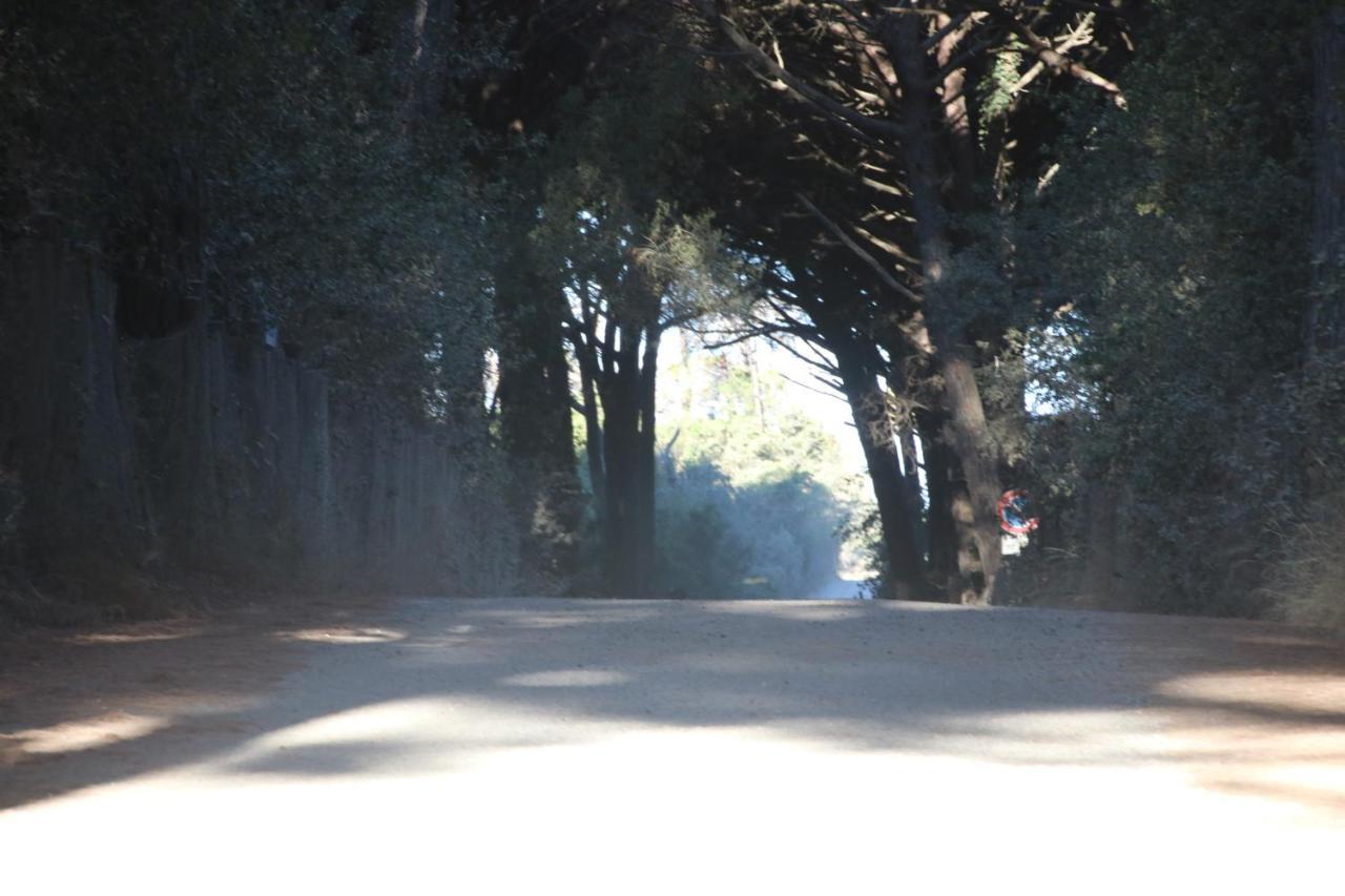 Podere Campo Alle Serpi Bibbona Buitenkant foto