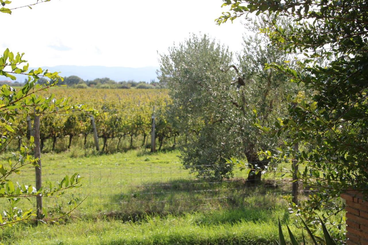 Podere Campo Alle Serpi Bibbona Buitenkant foto