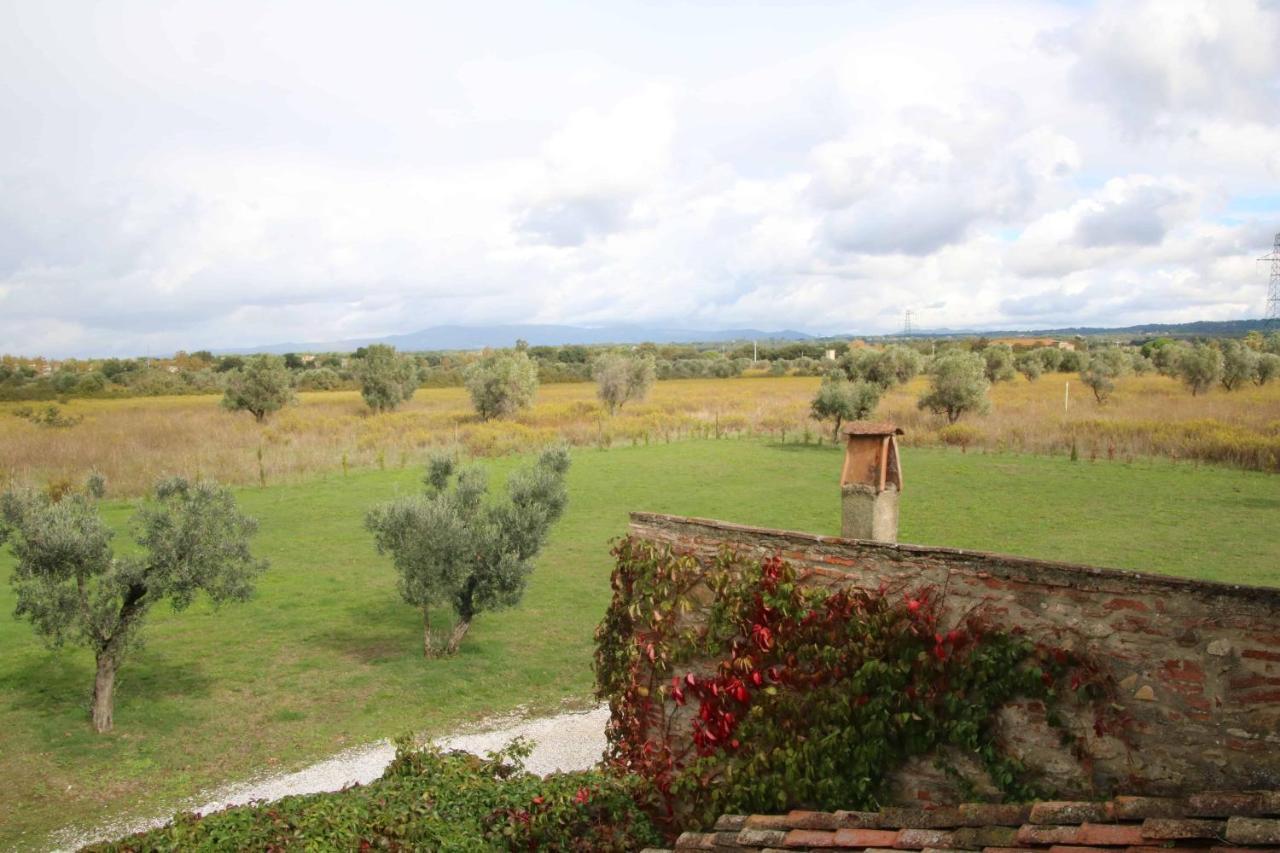 Podere Campo Alle Serpi Bibbona Buitenkant foto