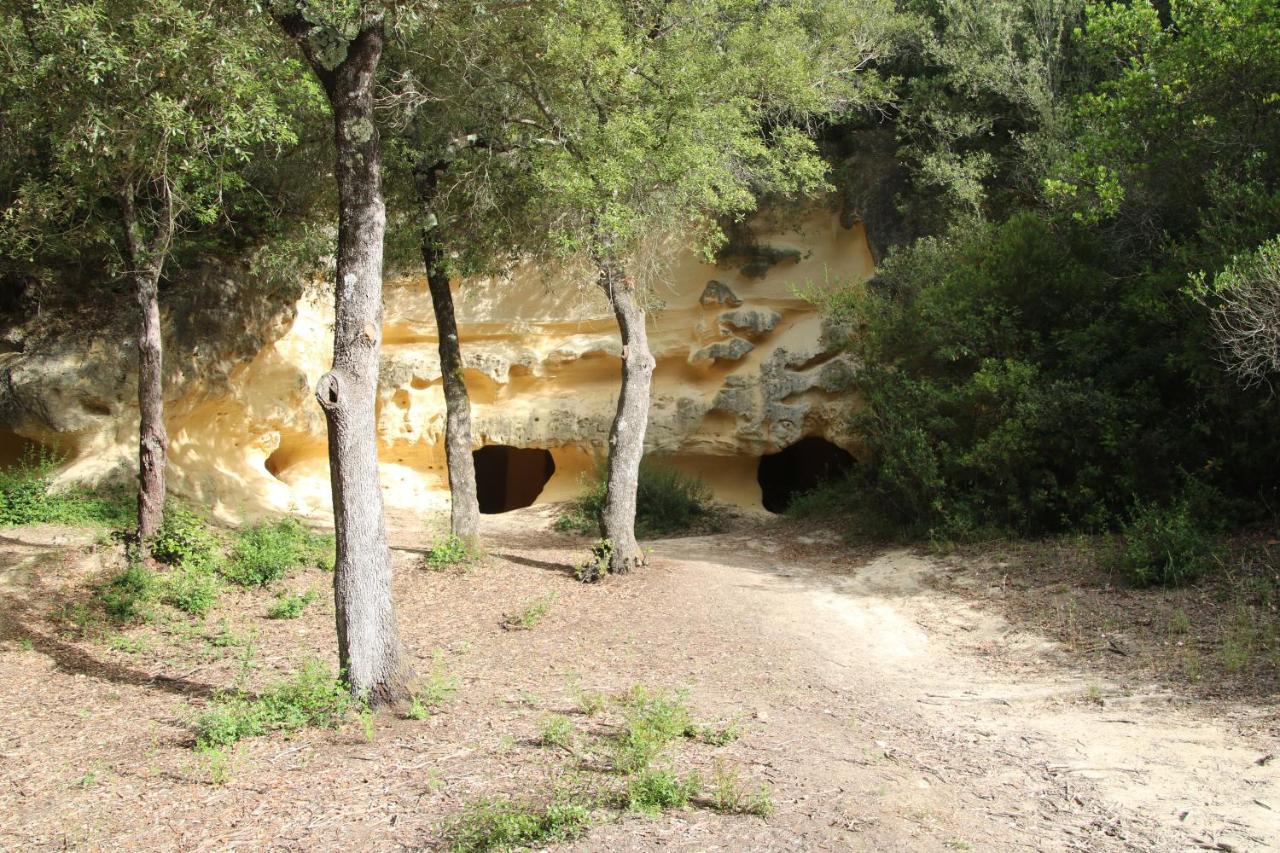 Podere Campo Alle Serpi Bibbona Buitenkant foto