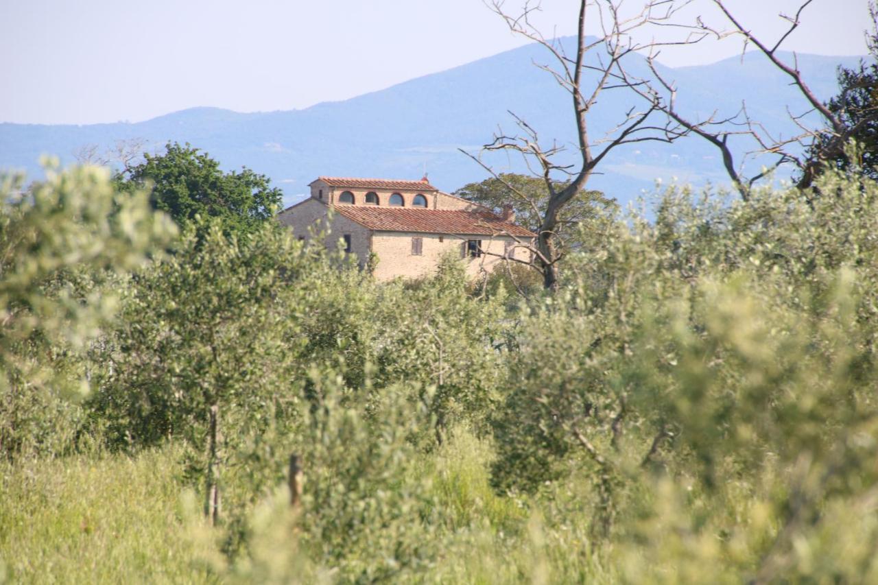 Podere Campo Alle Serpi Bibbona Buitenkant foto