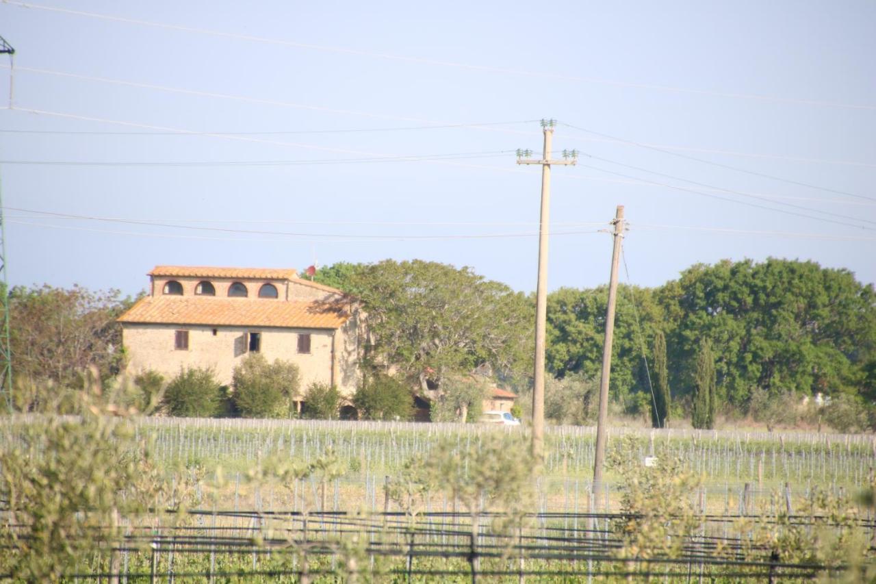 Podere Campo Alle Serpi Bibbona Buitenkant foto