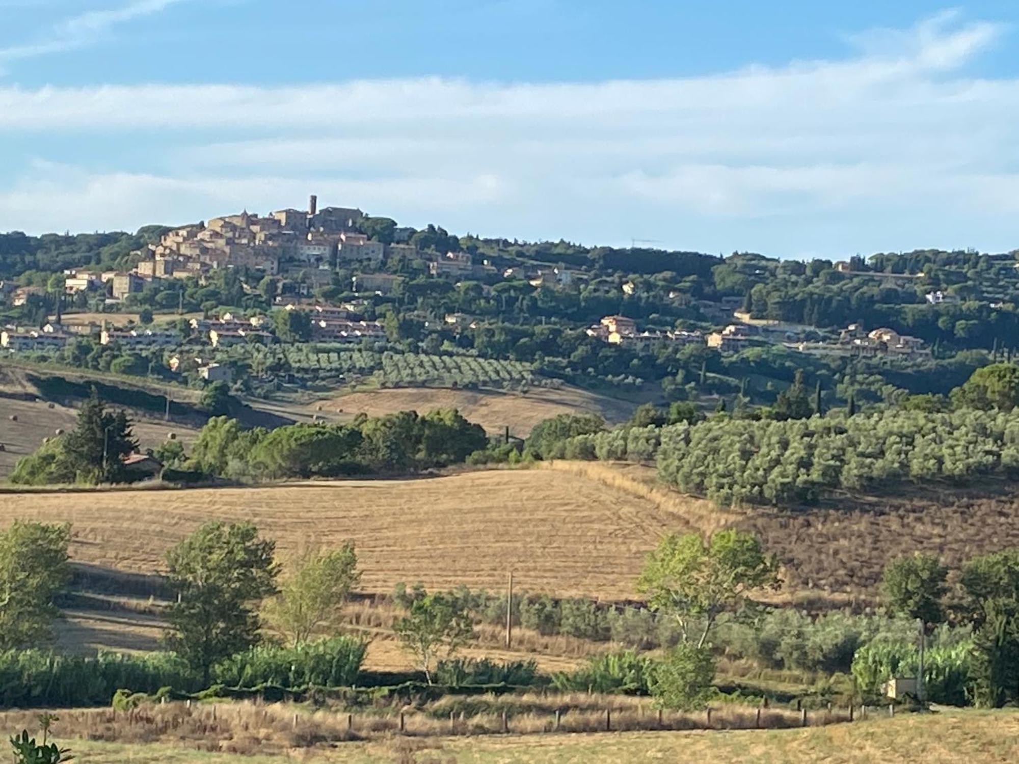 Podere Campo Alle Serpi Bibbona Buitenkant foto
