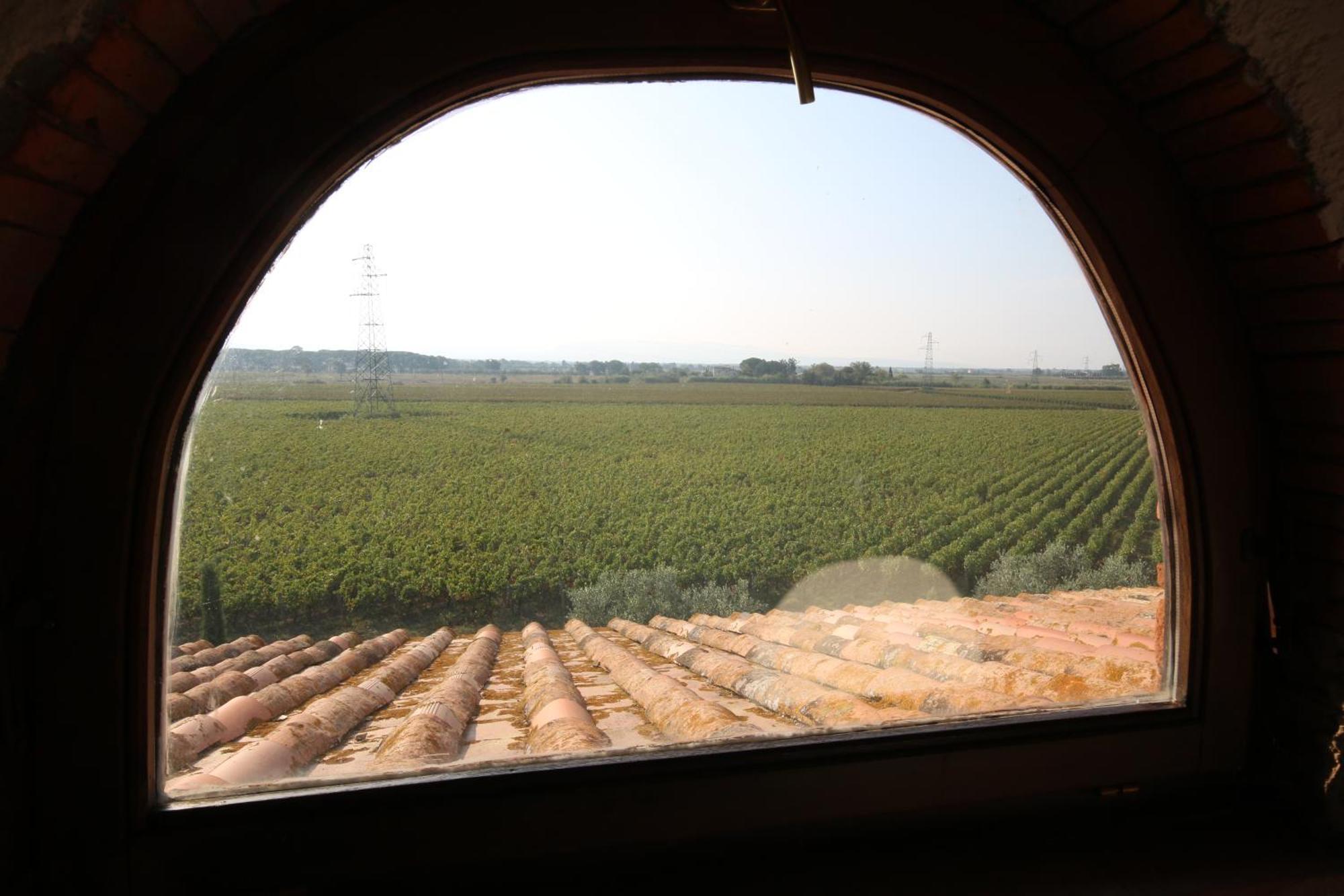 Podere Campo Alle Serpi Bibbona Buitenkant foto