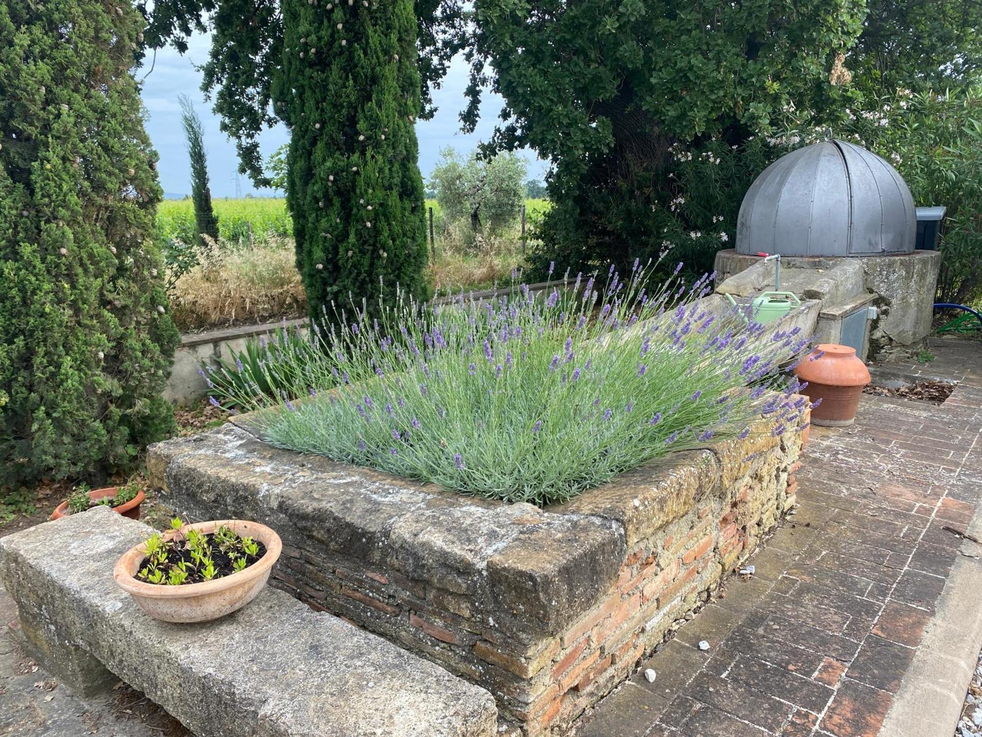 Podere Campo Alle Serpi Bibbona Buitenkant foto