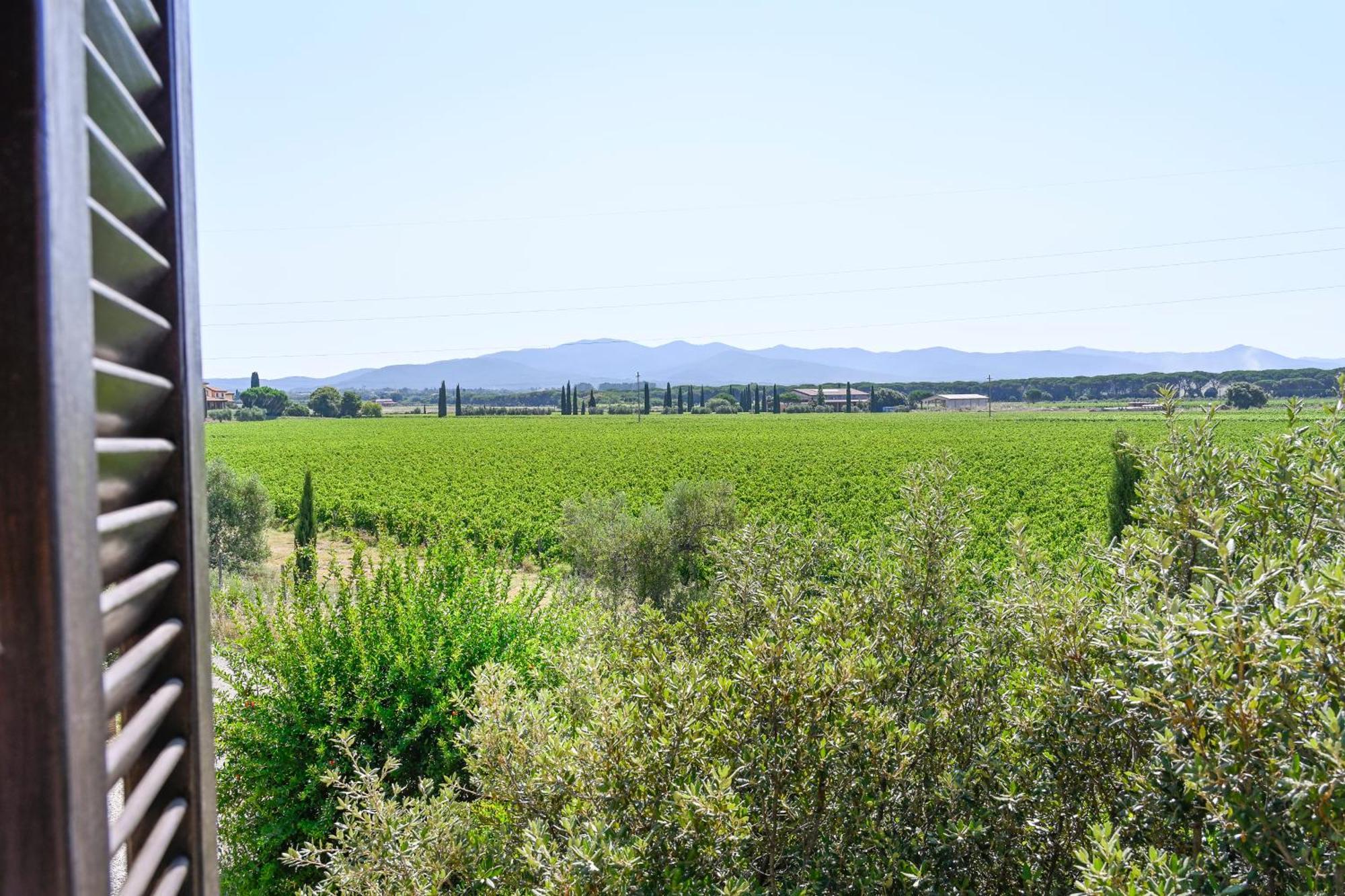 Podere Campo Alle Serpi Bibbona Kamer foto