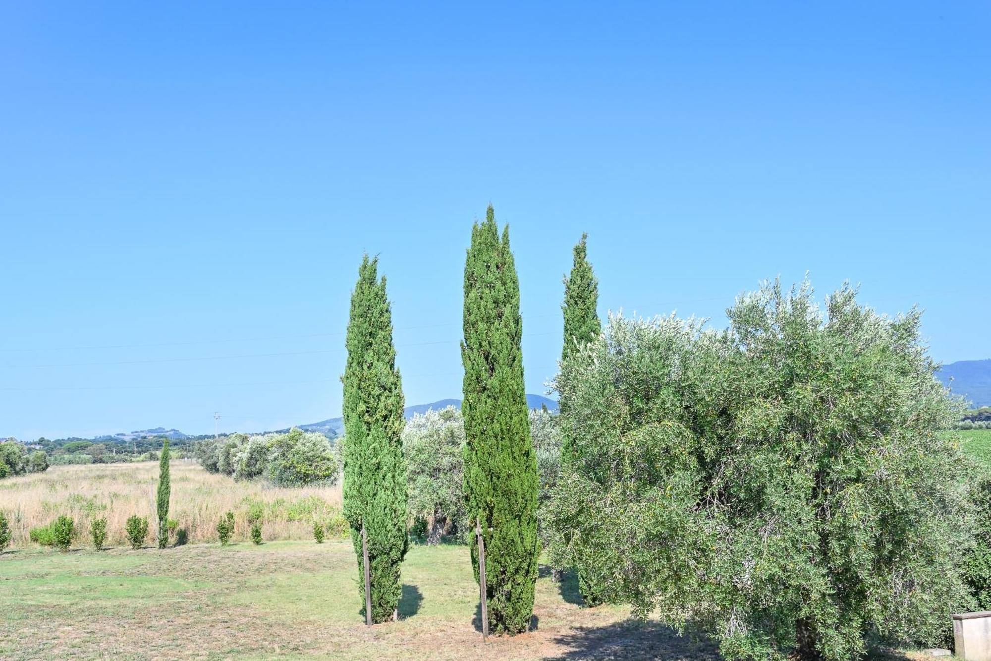 Podere Campo Alle Serpi Bibbona Kamer foto