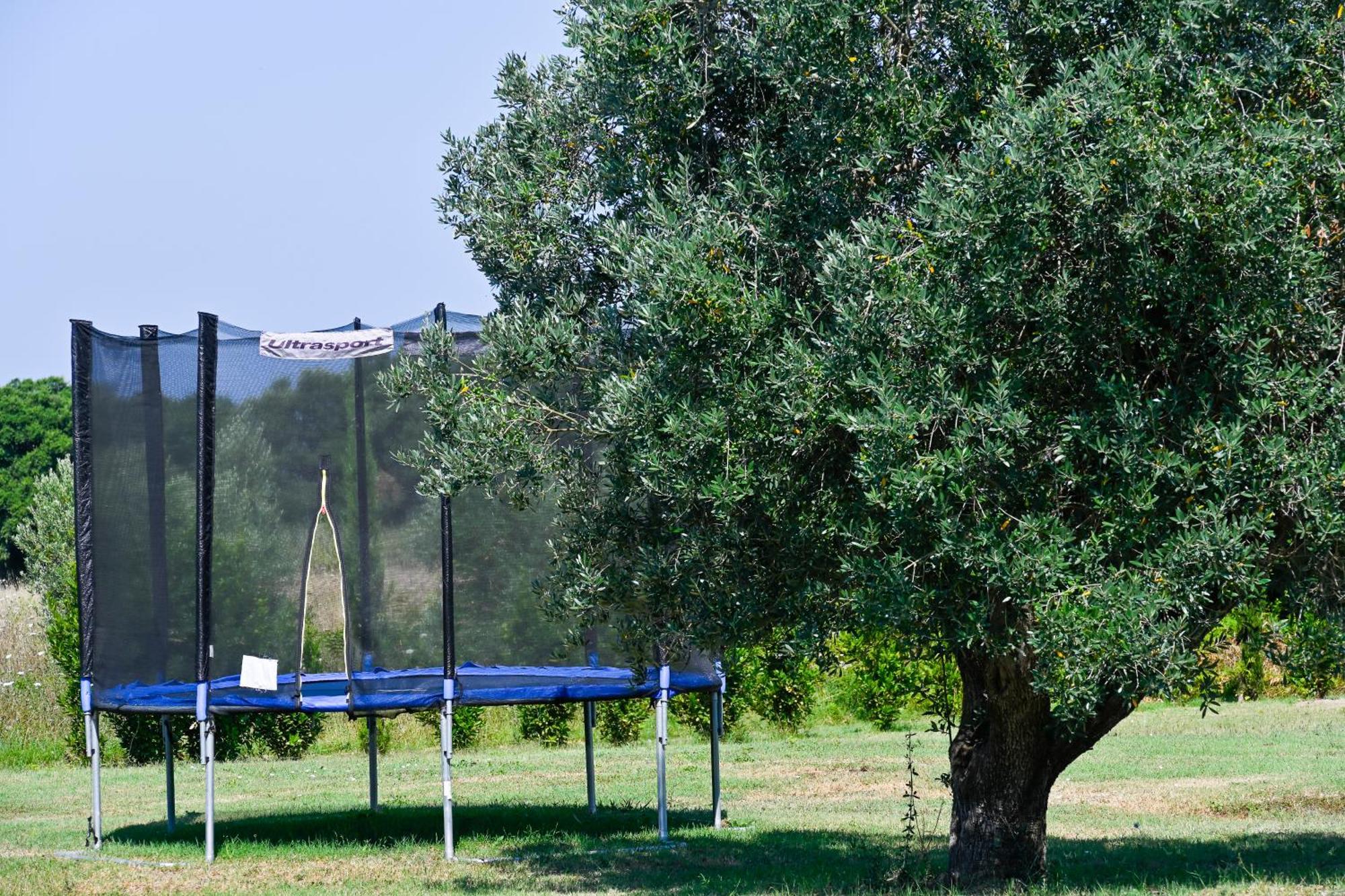 Podere Campo Alle Serpi Bibbona Buitenkant foto