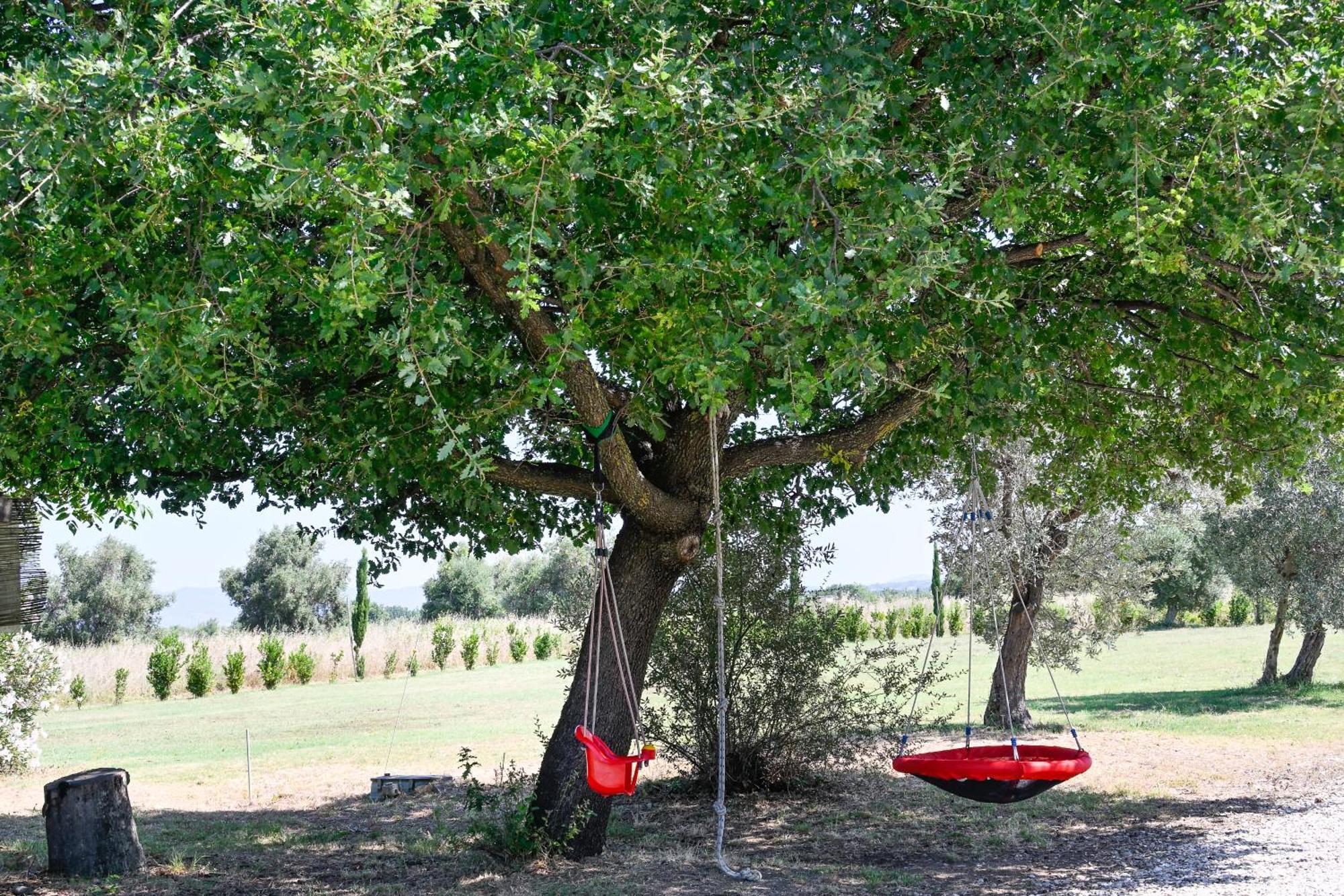 Podere Campo Alle Serpi Bibbona Buitenkant foto